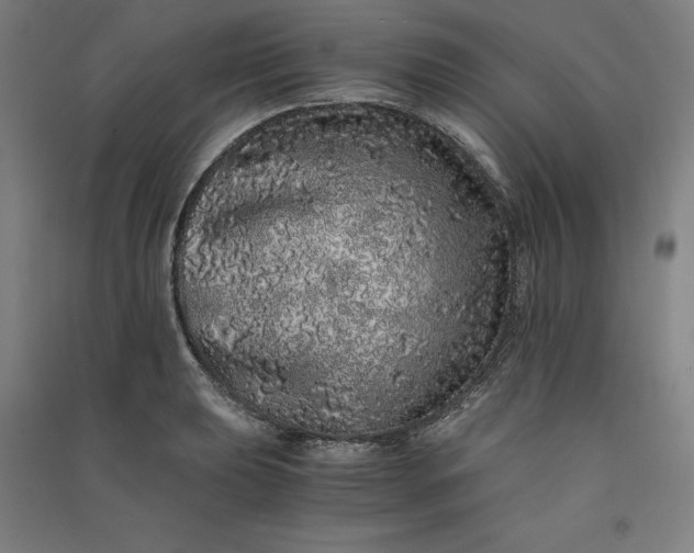 X0000091101039200708201515