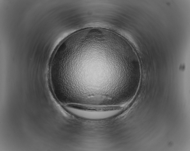 X0000091101040200708201515