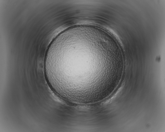 X0000091101041200708201515