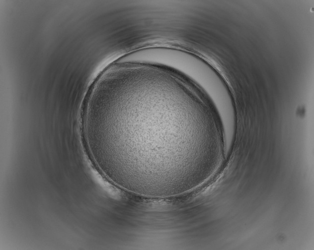 X0000091101042200708201515