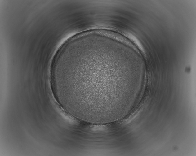 X0000091101043200708201515