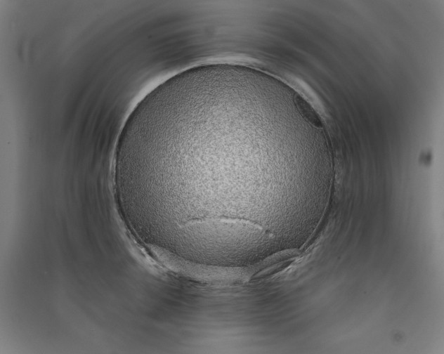 X0000091101044200708201515