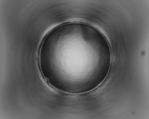 X0000091101045200708201515