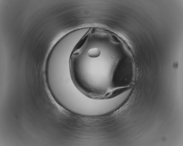 X0000091101046200708201515