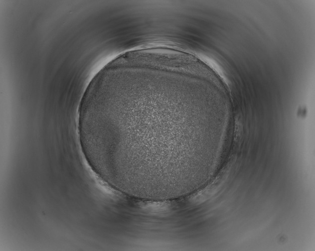 X0000091101047200708201515