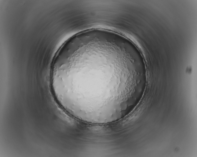 X0000091101048200708201515