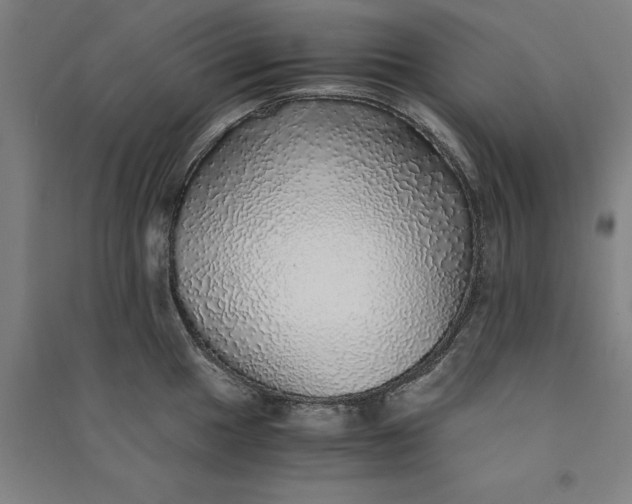 X0000091101049200708201515