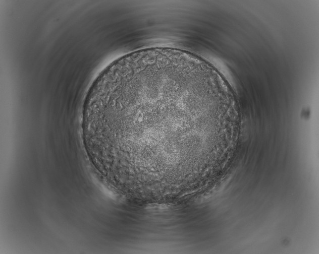 X0000091101051200708201515