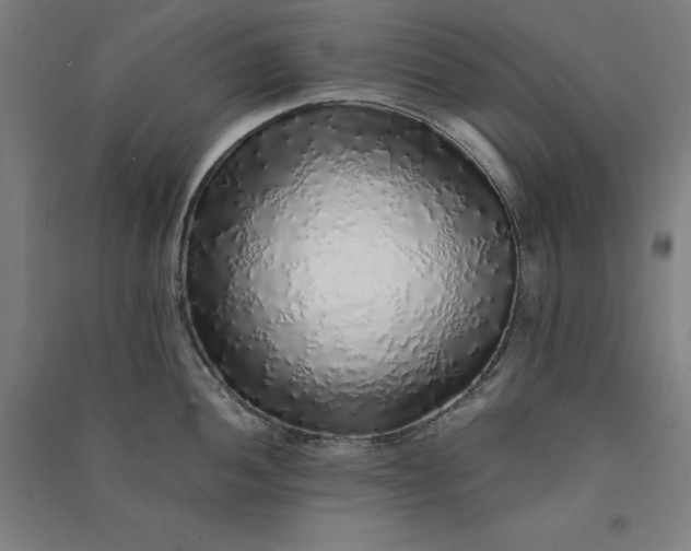 X0000091101052200708201516