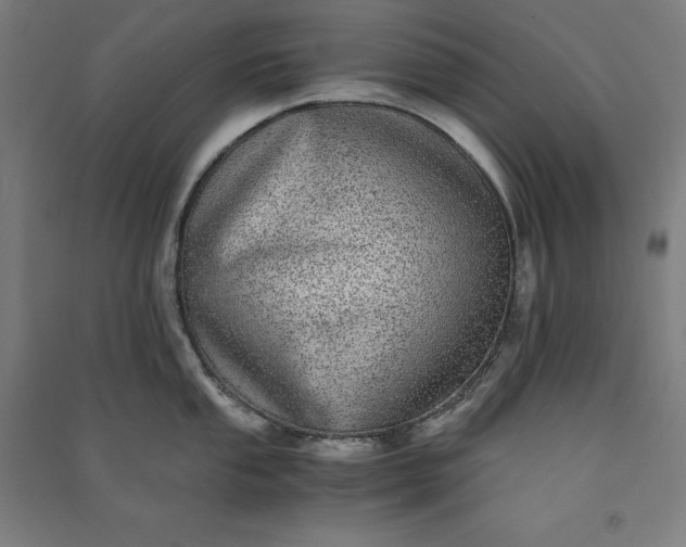 X0000091101053200708201516