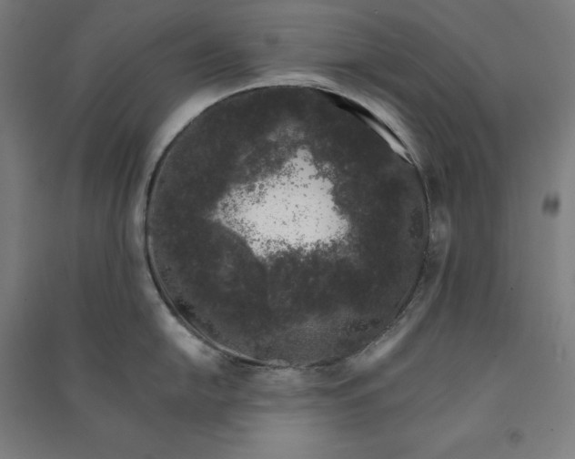 X0000091101054200708201516