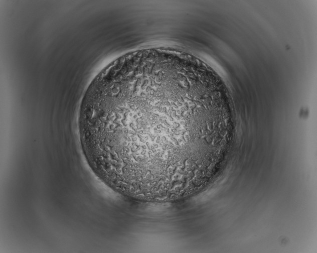 X0000091101055200708201516