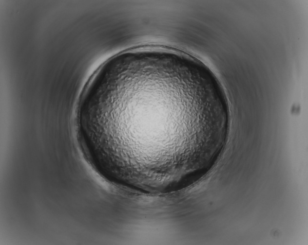 X0000091101056200708201516