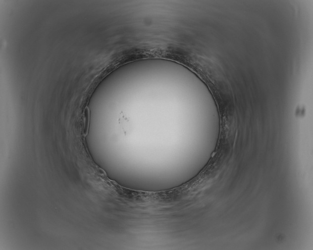 X0000091101057200708201515