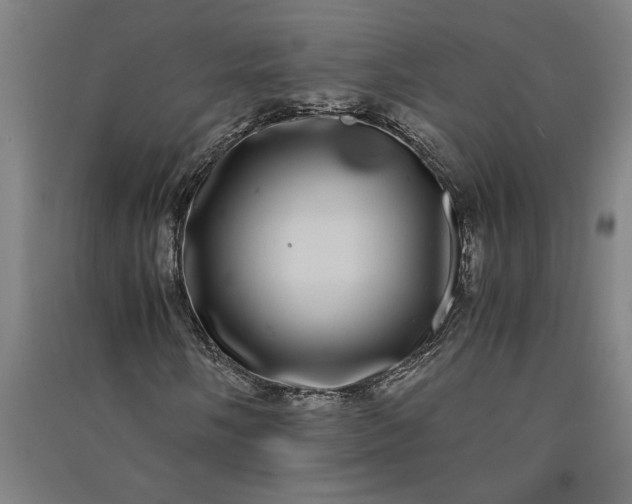 X0000091101058200708201515