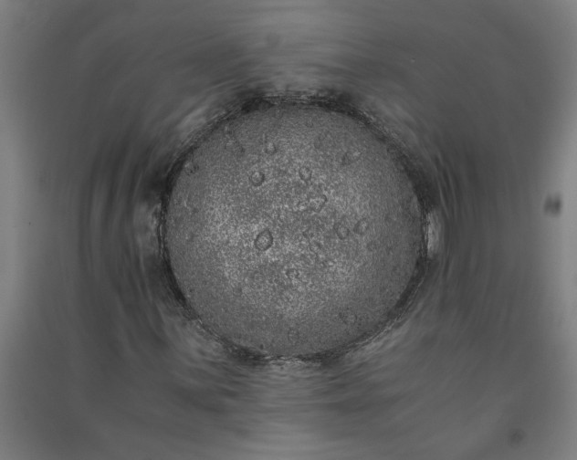 X0000091101059200708201515