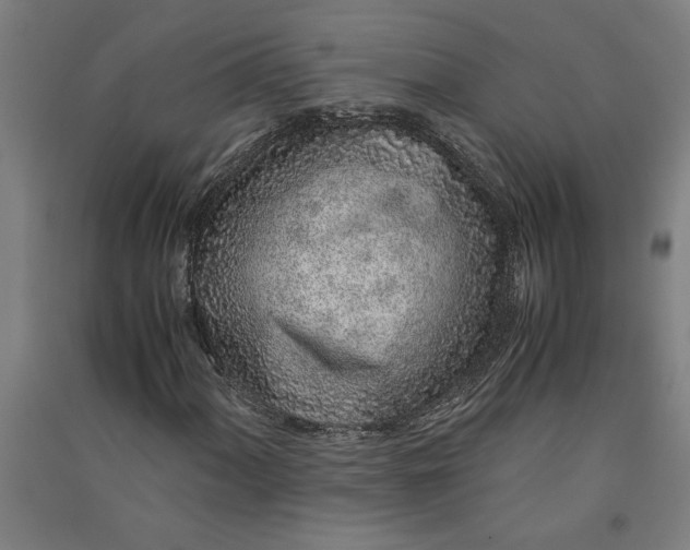 X0000091101060200708201515