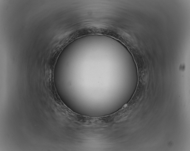 X0000091101061200708201515