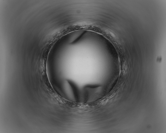 X0000091101062200708201515