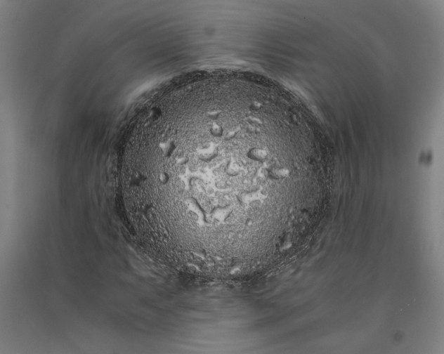 X0000091101063200708201515