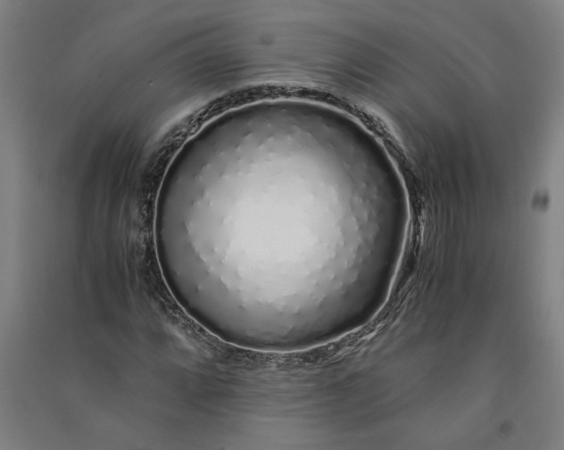 X0000091101064200708201515