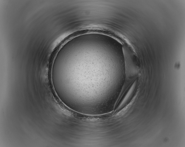 X0000091101066200708201515