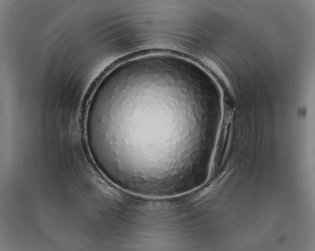 X0000091101068200708201515