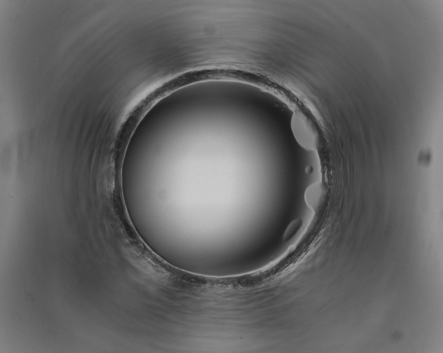 X0000091101069200708201515