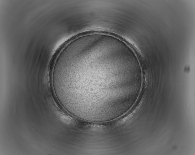 X0000091101070200708201515