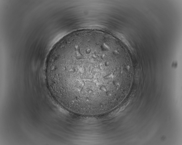 X0000091101071200708201515