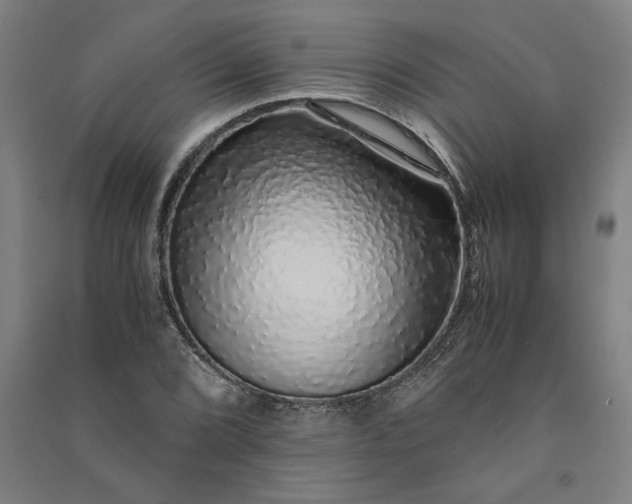 X0000091101072200708201515