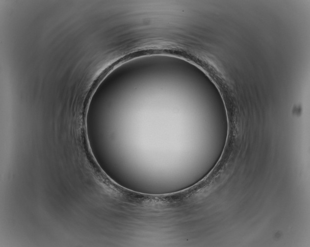 X0000091101073200708201515