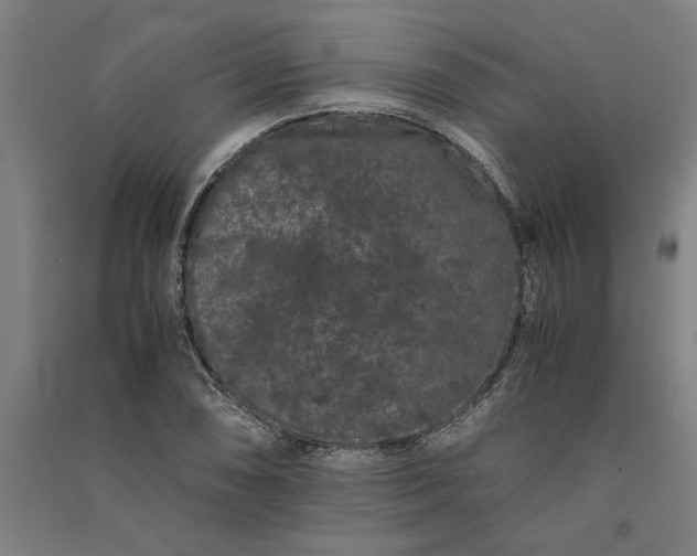 X0000091101074200708201515