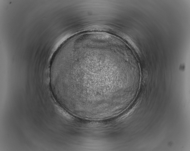 X0000091101075200708201515