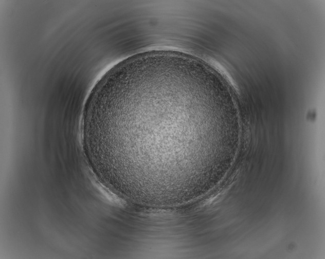 X0000091101076200708201515