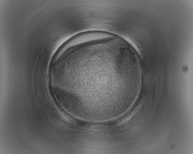 X0000091101077200708201515