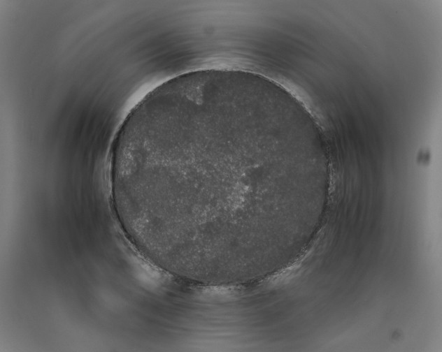 X0000091101078200708201515