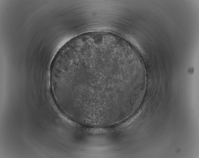 X0000091101079200708201515