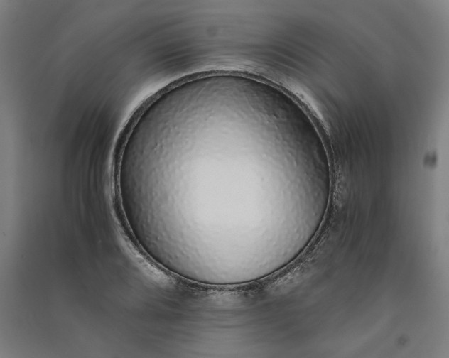 X0000091101080200708201515