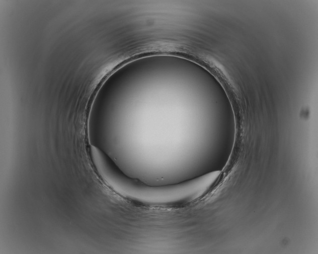 X0000091101081200708201515