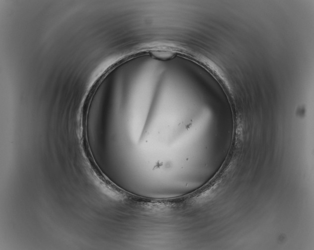 X0000091101082200708201515