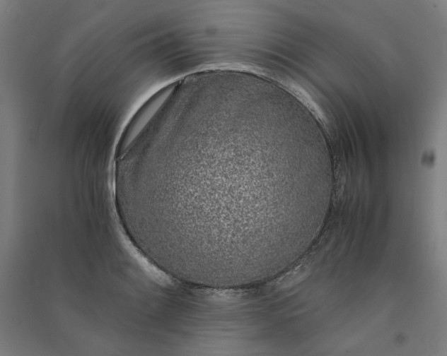 X0000091101084200708201515