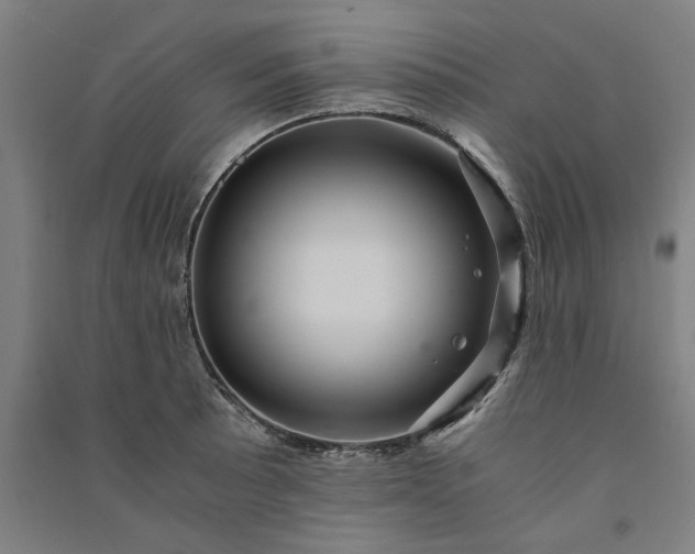 X0000091101089200708201514