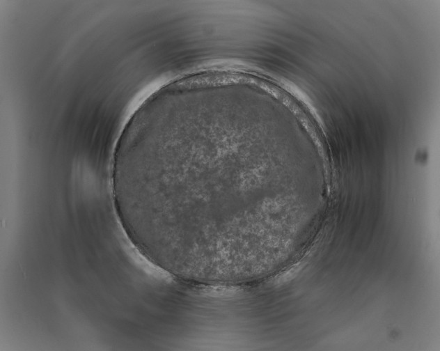 X0000091101090200708201514