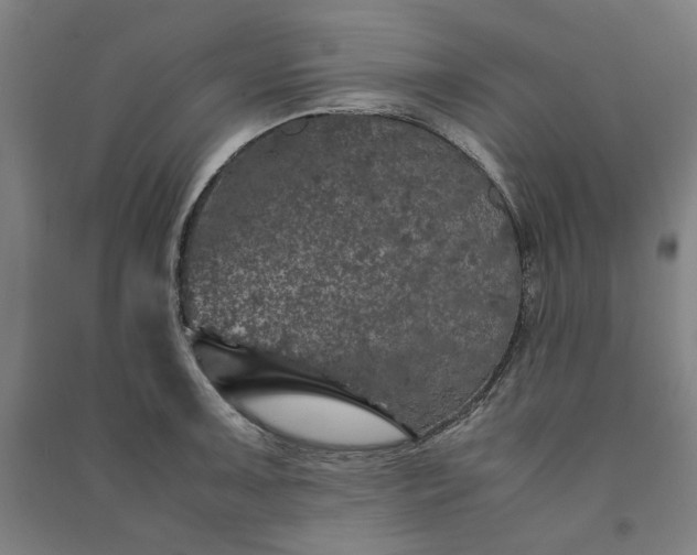 X0000091101091200708201514