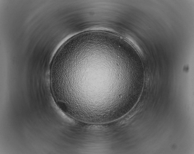 X0000091101092200708201514