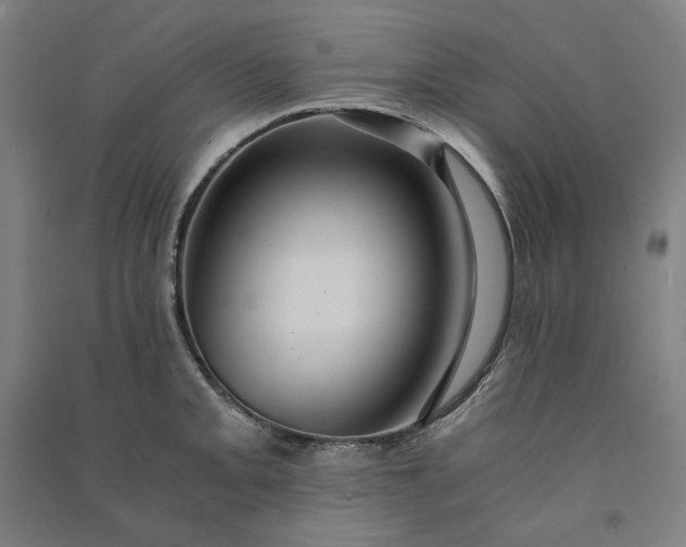 X0000091101093200708201514