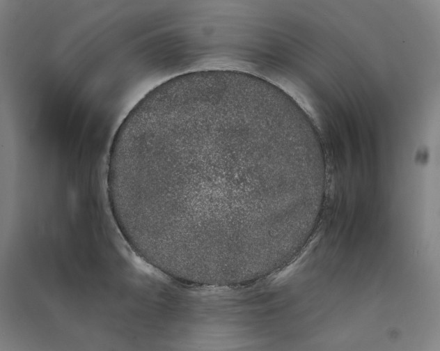 X0000091101094200708201514