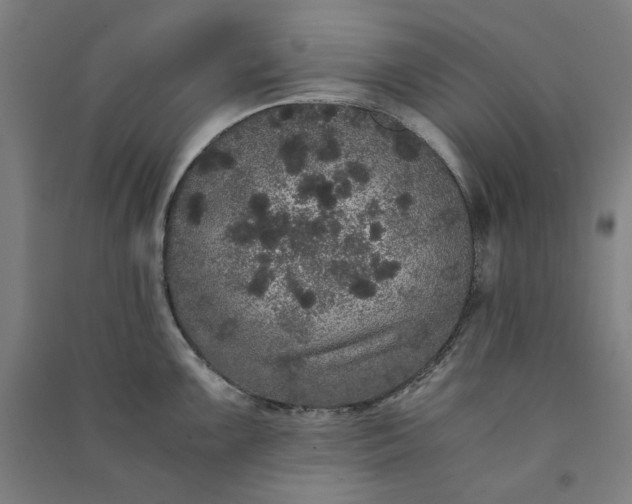 X0000091101099200708201514