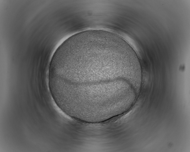 X0000091101100200708201514